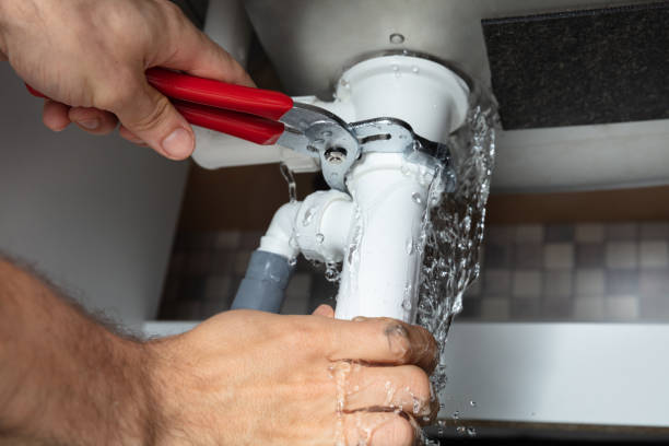 Best Mold removal after water damage  in Brownsville, TX