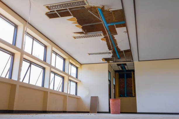  Brownsville, TX Water damage restoration Pros