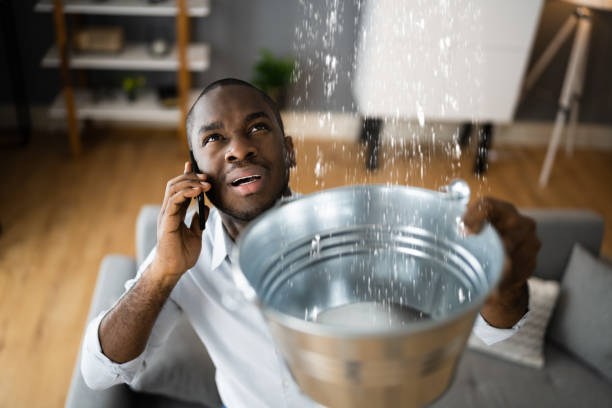 Best Water damage restoration near me  in Brownsville, TX