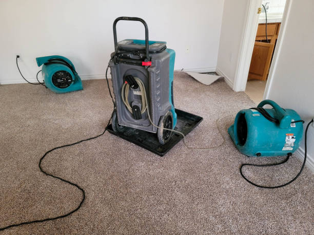 Best Flood restoration services  in Brownsville, TX