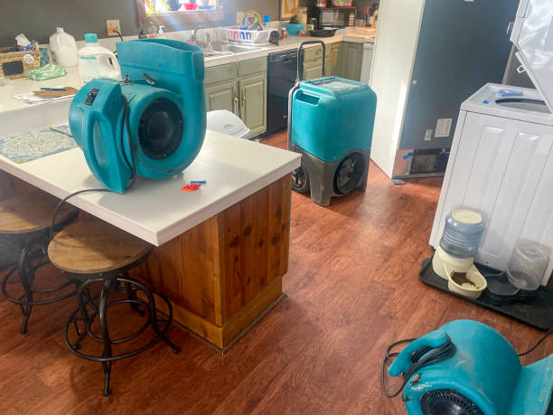 Best Water damage cleanup near me  in Brownsville, TX