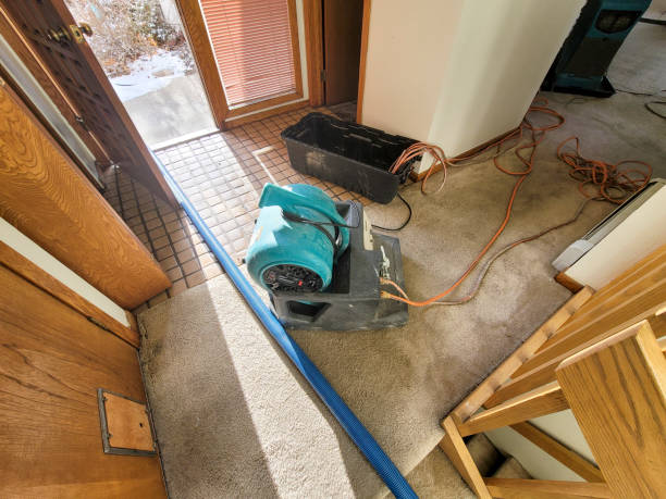Best Emergency water damage restoration  in Brownsville, TX