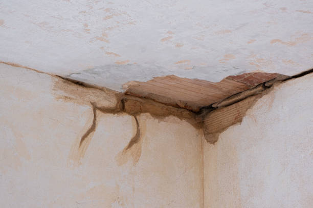 Best Flood restoration services  in Brownsville, TX
