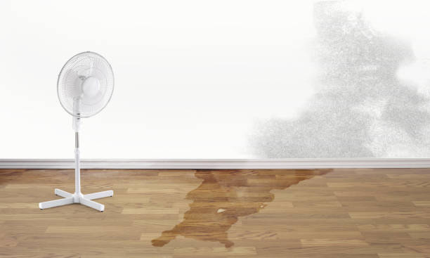 Best Water damage restoration process  in Brownsville, TX