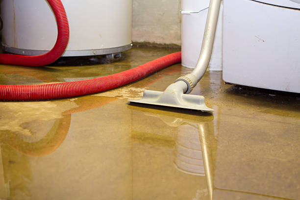 Best Local water damage restoration  in Brownsville, TX