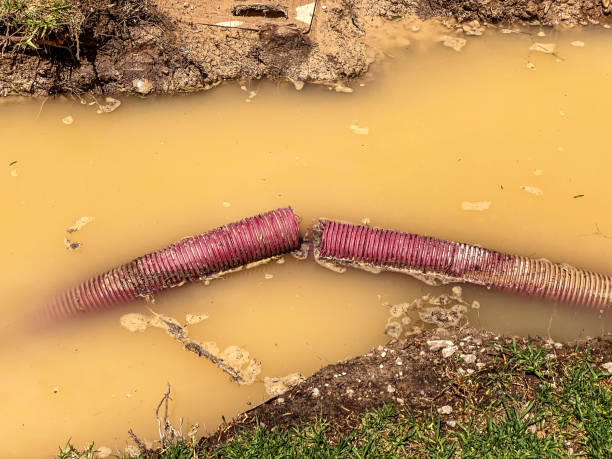 Best Water damage restoration near me  in Brownsville, TX