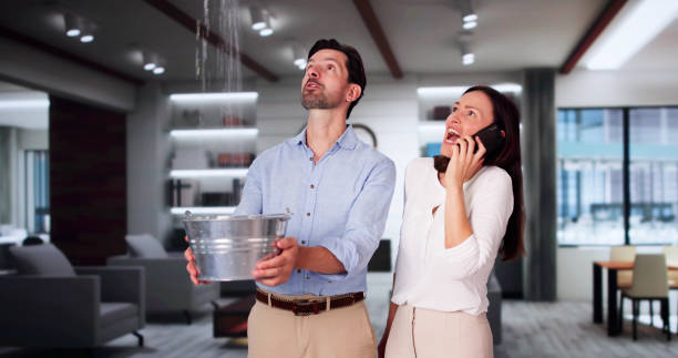 Best Water damage cleanup near me  in Brownsville, TX